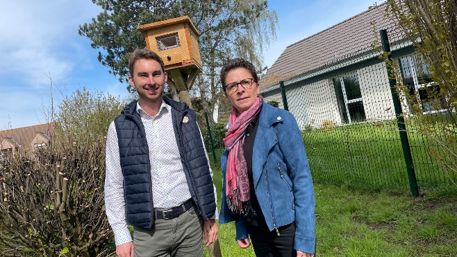 Des pièges pour les frelons asiatiques installés à Saint Léonard