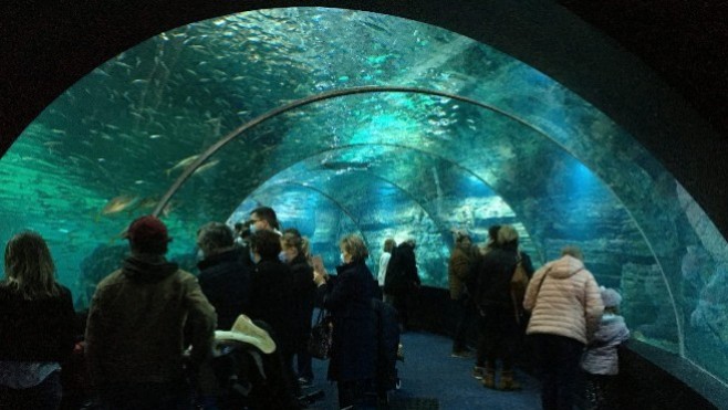 Nausicaa, Bagatelle et le Parc du Marquenterre cartonnent pendant le pont de l'Ascension 