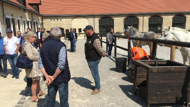 A Samer, les premiers chevaux boulonnais vendus et les premières reproductions en cours !