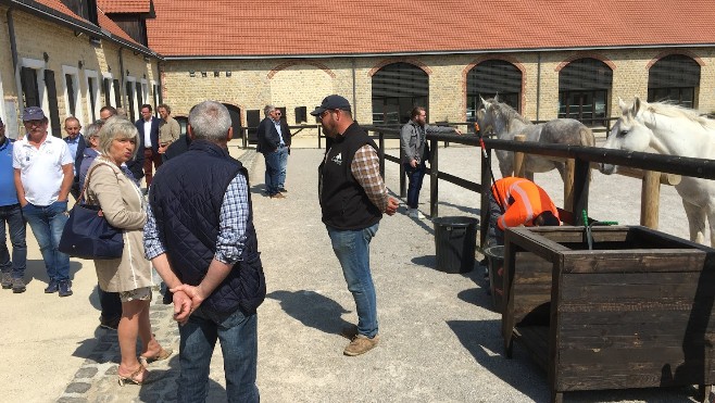 A Samer, les premiers chevaux boulonnais vendus et les premières reproductions en cours !