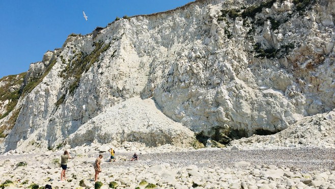 A Escalles, ne dérangez pas les Mouettes Tridactyles nichées sur la falaise.