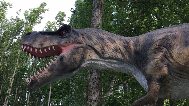A Coudekerque-Branche, 7 animotronics ont envahi Dino Parc !