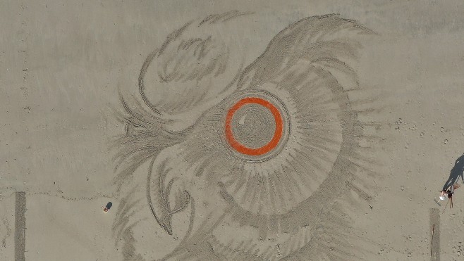 Idée de sortie à Fort-Mahon ce week-end avec le Beach Art Festival