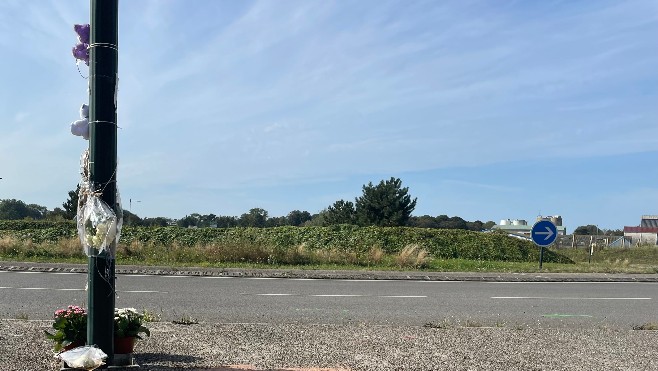 Accident mortel à Verton: l'automobiliste est sorti de garde à vue