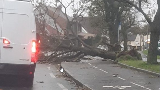 La tempête Ciaran fait de nombreux dégâts