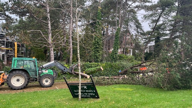 Un plan arbres au Touquet pour réparer les dégâts de la tempête