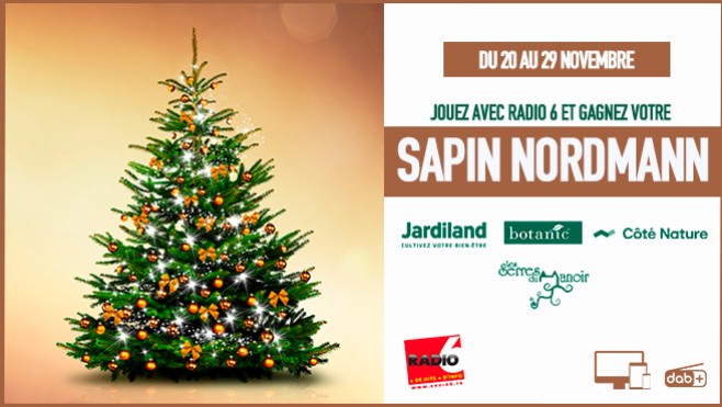 Radio 6 et de nombreux partenaires vous offrent votre sapin de Noël