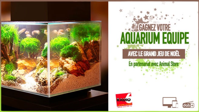 Grand jeu de noël - Animal Store vous offre votre aquarium équipé.