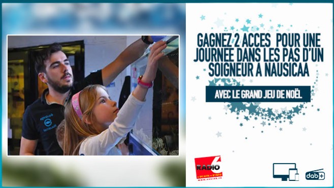 Grand jeu de noël - Gagnez votre expérience dans les pas d'un soigneur à Nausicaa
