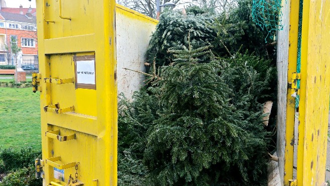 Que faire de son sapin de noël ?