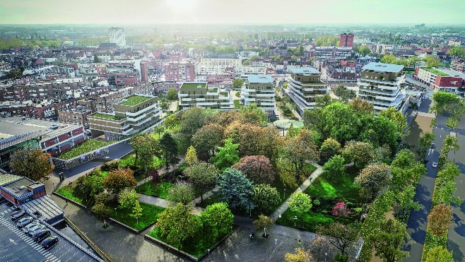 A Dunkerque, une centaine d'arbres déplacés du parc de la Marine durant trois semaines. 
