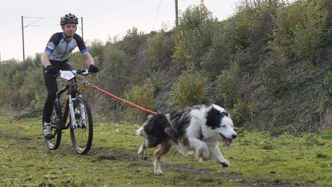 A Gravelines, 300 chiens et leurs maîtres vont courir la Icke Cani'Race ! 