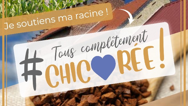 Mobilisation du CPETI pour défendre la chicorée !