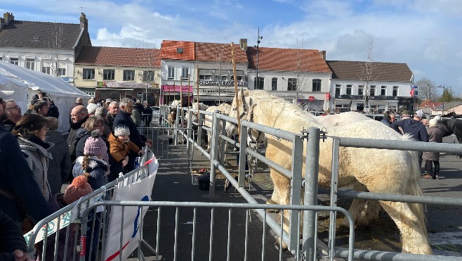 Près de 5000 personnes au comice agricole d'Audruicq