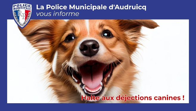 Audruicq : bientôt une amende de 200€ si vous ne ramassez pas les déjections de votre chien