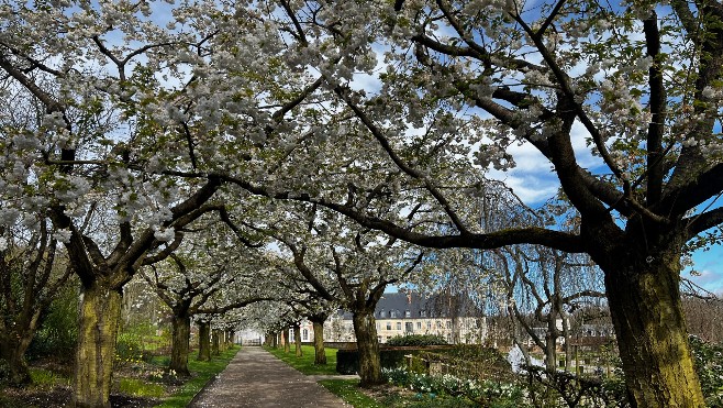 Les Jardins de Valloires ont rouvert au public le week-end dernier