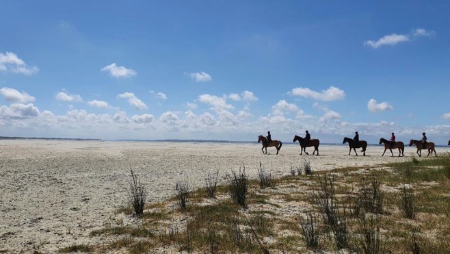 La Réserve Naturelle de la Baie de Somme va créer une nouvelle réglementation