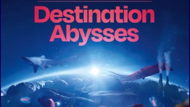 Les Escapades : zoom sur le nouvel espace consacré aux Abysses à Nausicaá