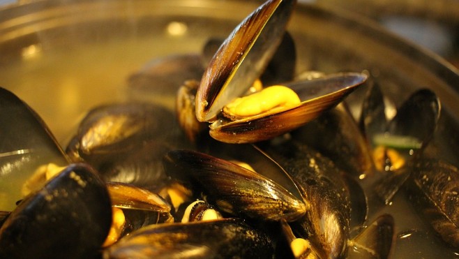 Quelques nouveautés pour la Kermesse de la moule à Calais