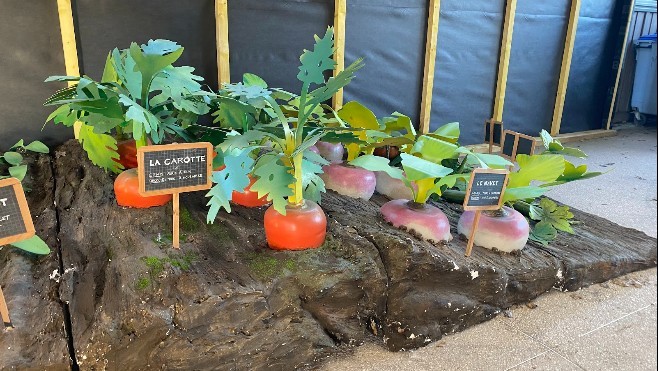 A Loon-plage, Croc'Expo présente les fruits et légumes de la fourche à la fourchette !