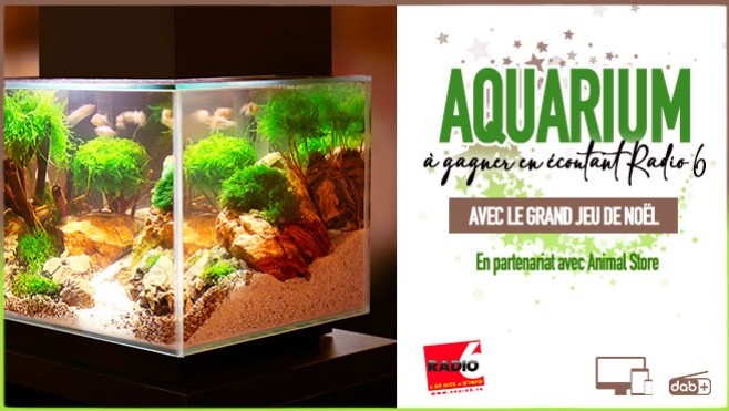 Grand jeu de noël - Gagnez votre aquarium équipé avec Animal Store