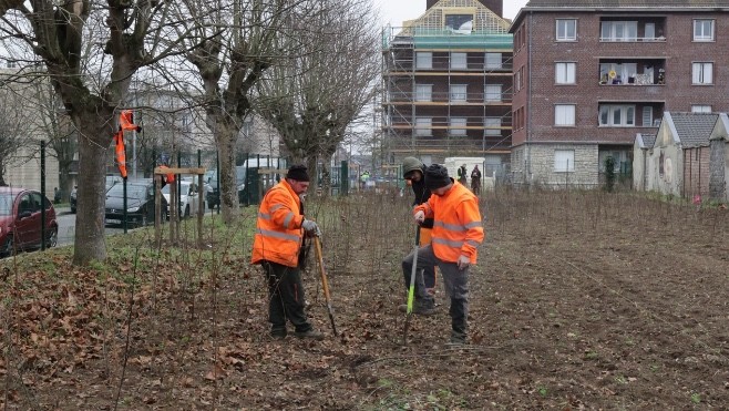 Amiens : fin de plantation du premier îlot de fraîcheur.