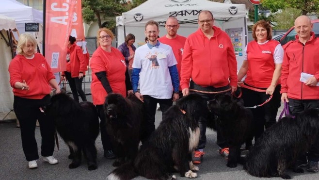 La Dog Run de retour pour une deuxième édition à Stella-plage