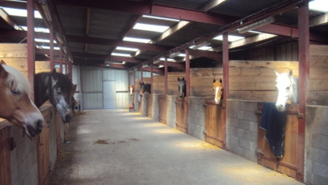 Fréthun : un départ de feu au centre équestre dimanche matin. Aucun cheval blessé.