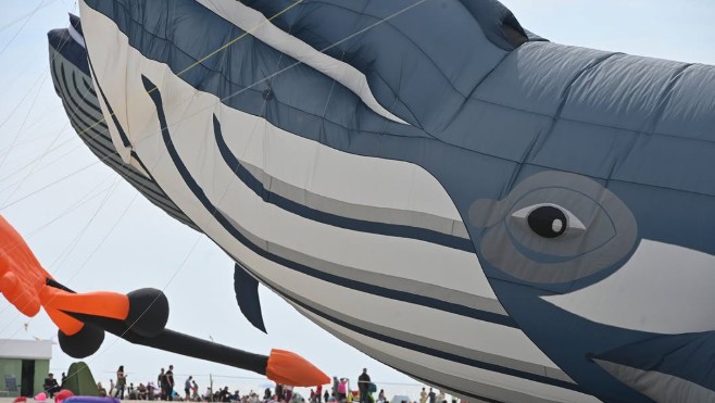 Cerfs-Volants à Berck : fresque humaine géante et tentative de record du monde au programme ce mercredi !