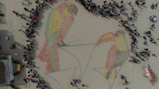 Cerfs-Volants de Berck: la fresque géante colorée a laissé apparaître deux perroquets