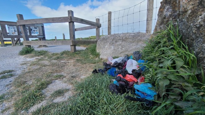 Des sacs à crottes abandonnés sur le site des 2 caps, un fléau pour la nature et les agents d'Eden 62