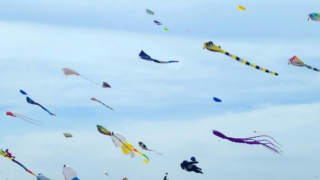 Pieuvres géantes, baleines flottantes, vol lumineux: le festival de cerfs-volants de Cayeux, c'est ce week-end !