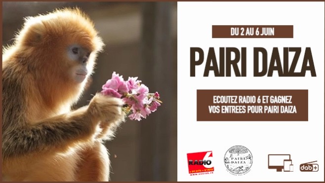 Radio 6 vous invite à Pairi Daiza