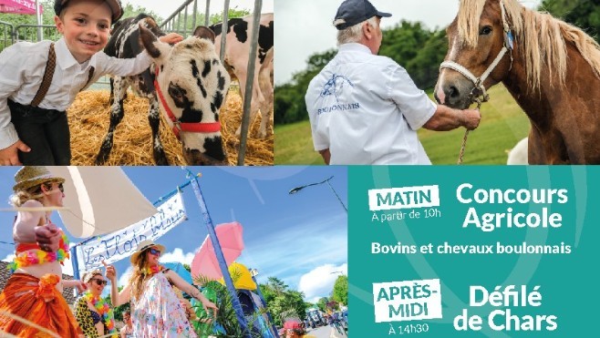 Brocante, concours agricole, cochon grillé et défilé de chars et tracteurs à la fête du canton d'Hucquelier ce dimanche !