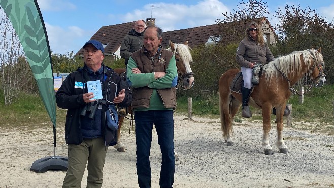 Entre Zuydcoote et Bray-Dunes, la réserve naturelle de la Dune Marchand a 50 ans !