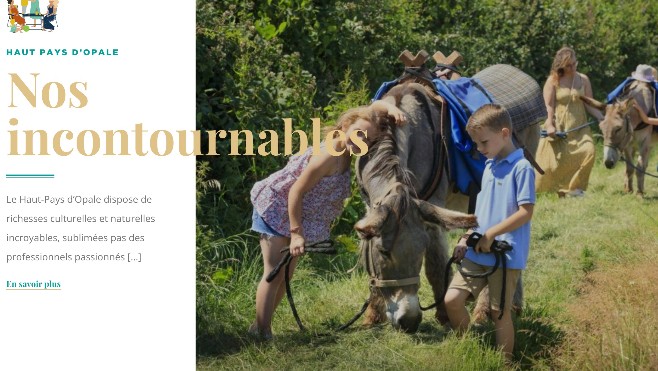 Parcourez le Haut Pays d'Opale à pied, en calèche gourmande, à vélo, accompagné de chèvres ou de votre chien !