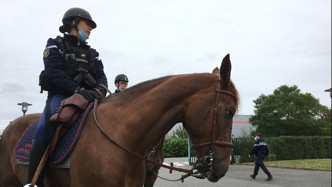 Des contrôles réalisés en Baie de Somme pour veiller à la tranquillité des phoques !