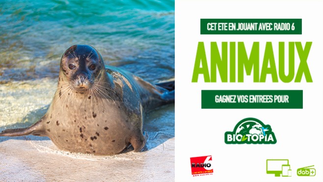 Cet été, la plage est aussi chez Bio-Topia