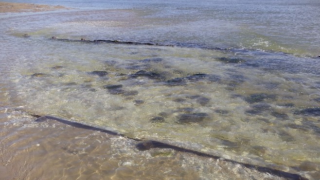 Epave du Mérida ou reste d'une digue à la pointe du nord du Touquet par marée basse ?