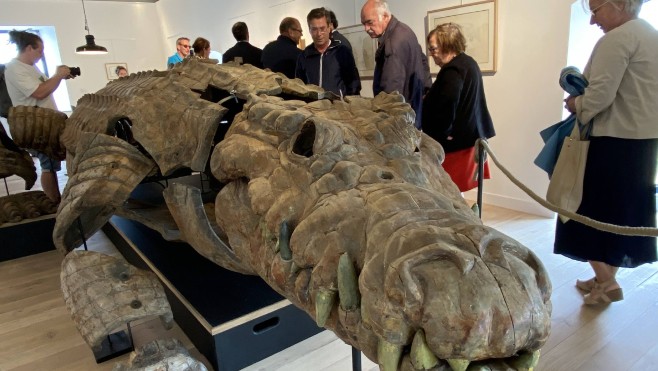 Calais : déjà 6000 visiteurs pour l'exposition « Dragon, Varan et Chimères »