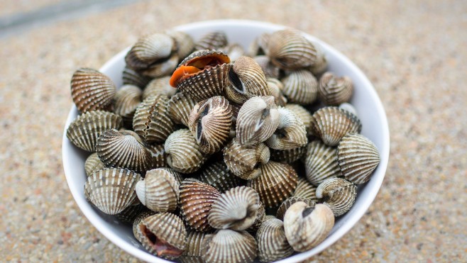 Baie de Somme: après 2 ans d'attente, la pêche aux coques rouvre ce lundi !