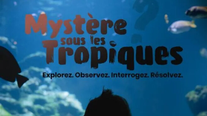 Boulogne: pour Halloween, Nausicaà vous invite à résoudre un mystère sous les tropiques