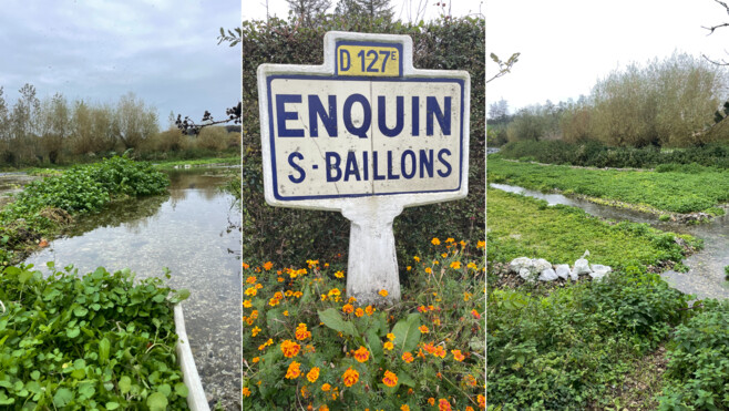 Enquin-sur-Baillons : Comment ce village du Pas-de-Calais est devenu la capitale du cresson