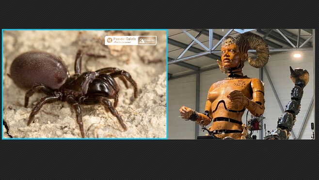 Varan de Voyage : Lilith la gardienne des Ténèbres aurait pour lointaine cousine 