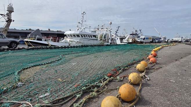 La ministre déléguée chargée de la Mer et de la Pêche, en visite à Boulogne-sur-Mer ce vendredi 14 novembre 2025