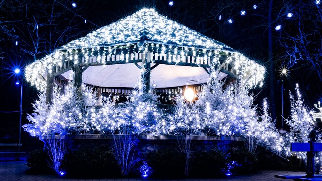 Le Touquet s’illumine dès ce soir (vendredi 28 novembre) pour cinq semaines de féérie 