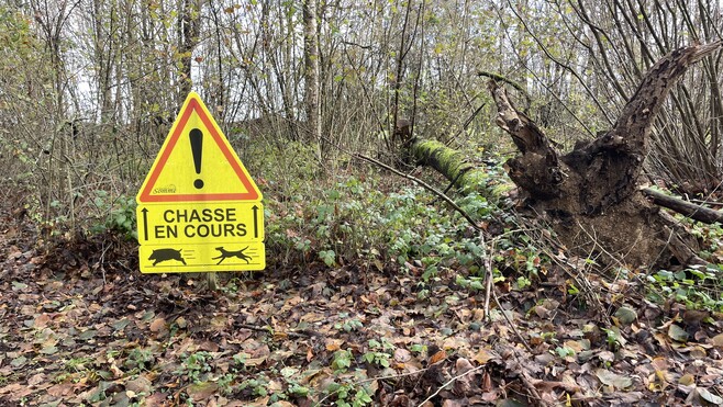 Sécurité à la chasse : dès ce week-end, des contrôles renforcés dans la Somme et partout en France