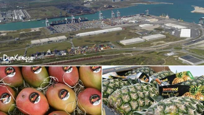 Dunkerque consolide sa place de leader français des fruits tropicaux