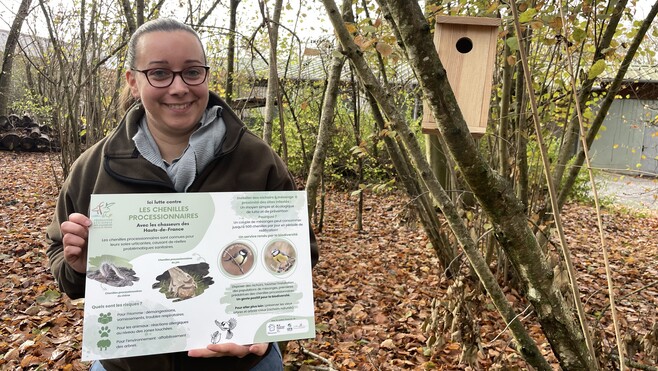Somme : 2 000 nichoirs installés cette année pour lutter naturellement contre les chenilles processionnaires