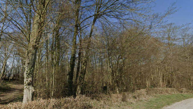 Somme : un chasseur retrouvé mort dans un bois